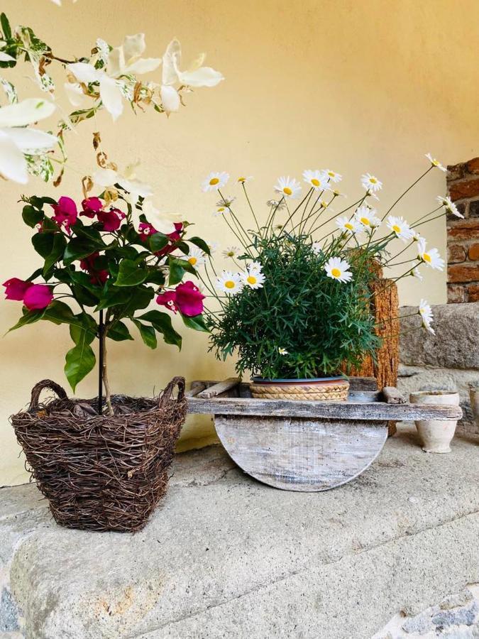 Dobre Casy - Studio I. Banská Štiavnica Exterior foto